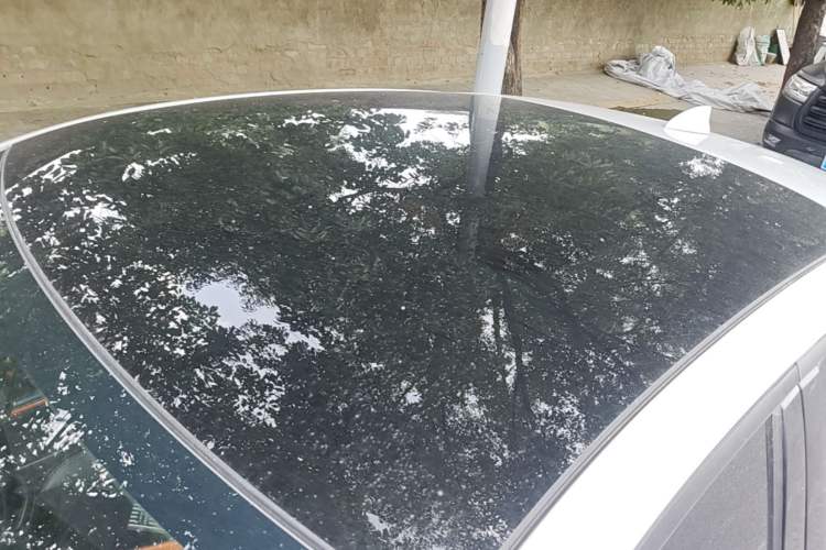 Used CHANGAN UNI-V 2022 1.5T Prestige Version Roof
