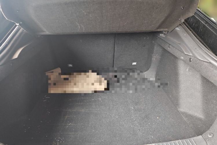 Used CHANGAN UNI-V 2023 2.0T Sport Edition Trunk