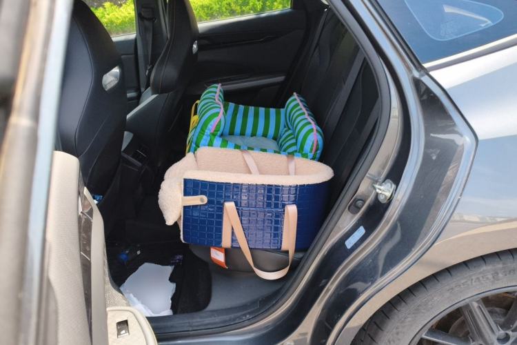 Used CHANGAN UNI-V 2023 1.5T Premium Model Left Rear Seat