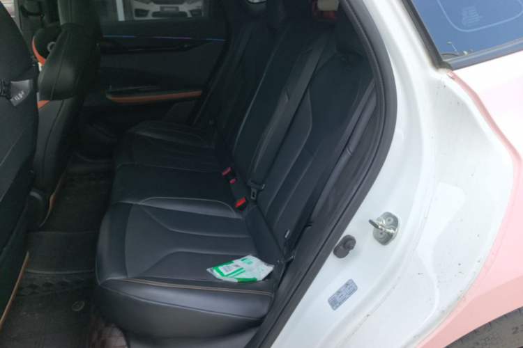 Used CHANGAN UNI-V 2023 1.5T Premium Model Left Rear Seat