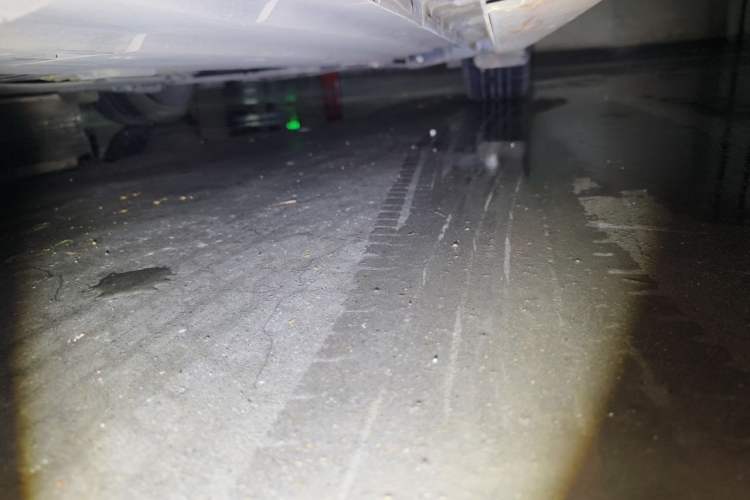 Used CHANGAN UNI-V 2024 1.5T Prestige Sport Edition Chassis Rear Right