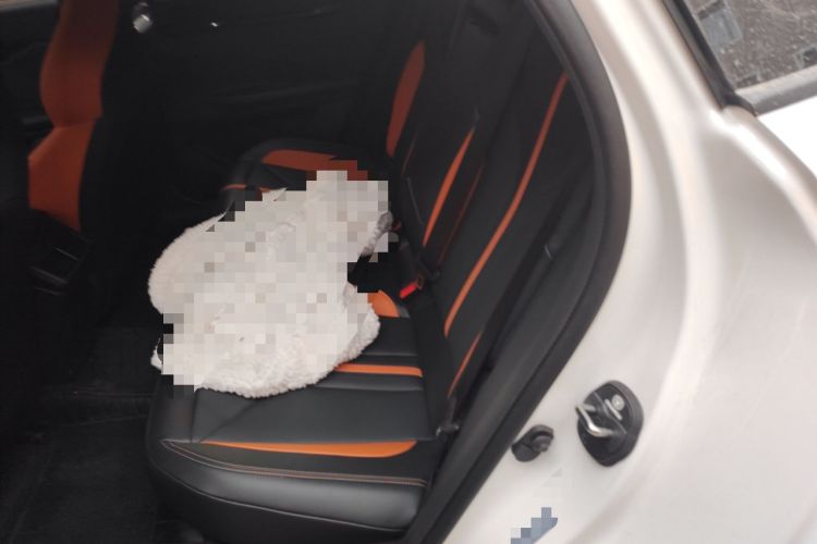 Used CHANGAN UNI-V 2025 1.5T 500Bar Prestige Sporty Version Interior 4