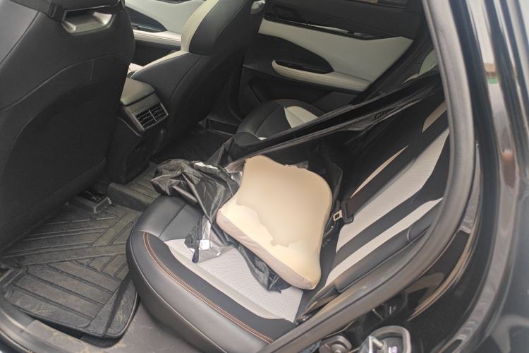 Used CHANGAN UNI-V iDD 2024 Blue Whale Smart Electric iDD 136km Luxury Model Left Rear Seat