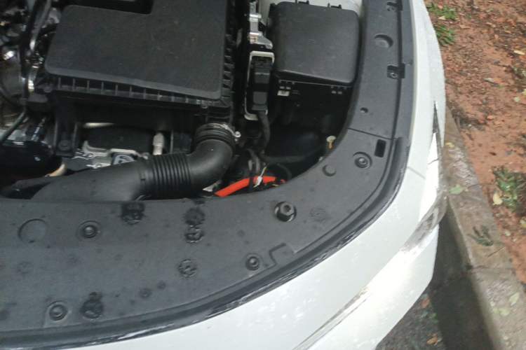 Used CHANGAN UNI-V iDD 2024 Blue Whale Smart Electric iDD 136km Luxury Model Engine Bay Left