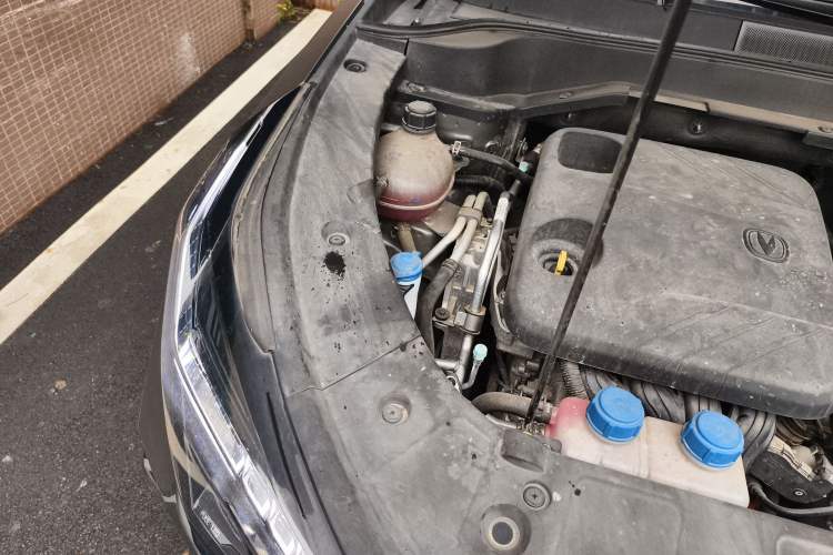 Used CHANGAN UNI-Z New Energy 2024 Blue Whale Smart Electric iDD 125km Excellence Model Engine Bay Right