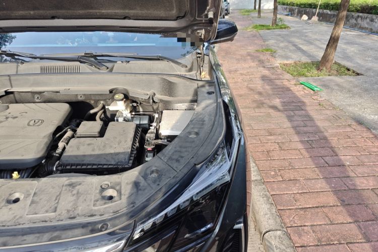 Used CHANGAN UNI-Z New Energy 2024 Blue Whale Smart Electric iDD 125km Excellence Model Engine Bay Left