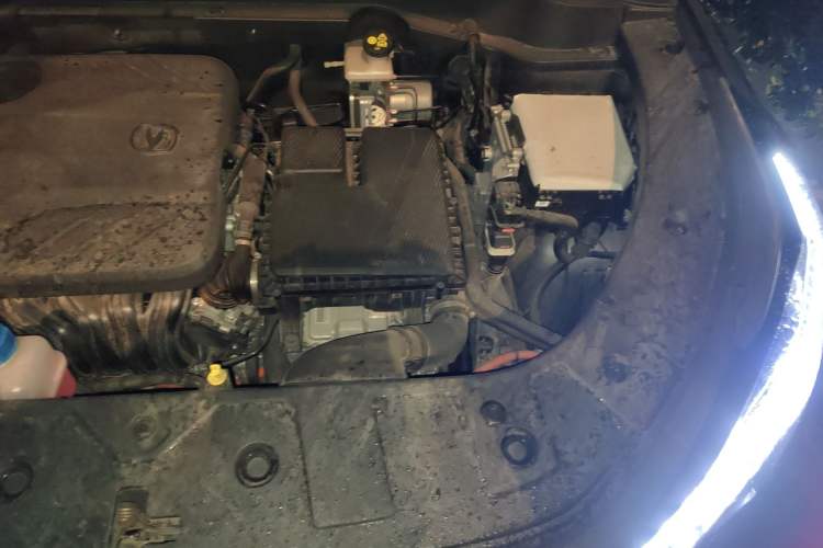 Used CHANGAN UNI-Z New Energy 2024 Blue Whale Smart Electric iDD 125km Excellence Model Engine Bay Left