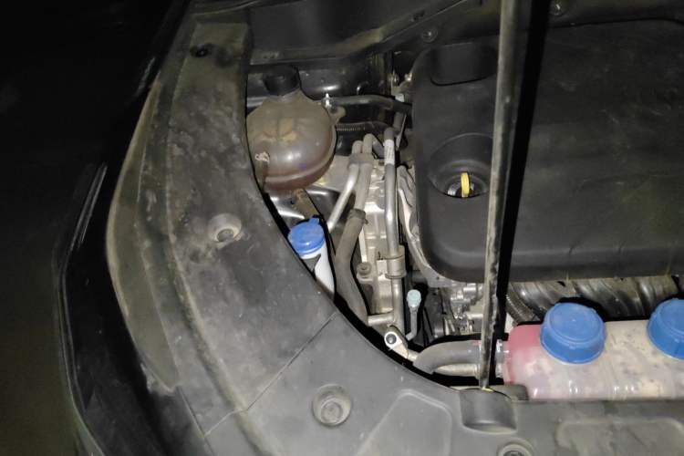 Used CHANGAN UNI-Z New Energy 2024 Blue Whale Smart Electric iDD 125km Excellence Model Engine Bay Right
