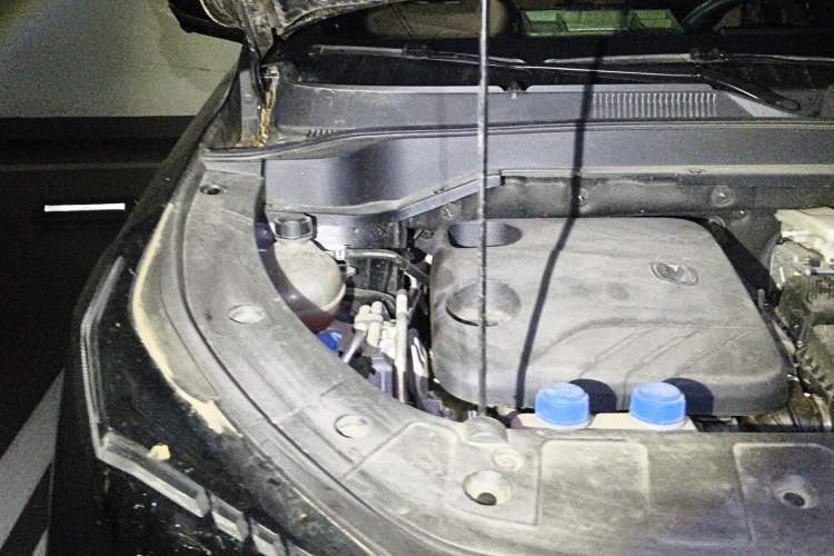 Used CHANGAN UNI-Z New Energy 2024 Blue Whale Smart Electric iDD 125km Beyond Edition Engine Bay Right