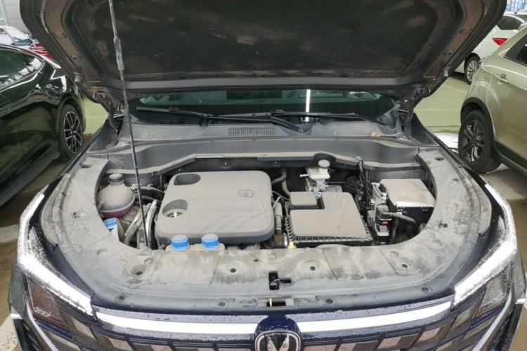 Used CHANGAN UNI-Z New Energy 2024 Blue Whale Smart Electric iDD 125km Excellence Model Engine Bay