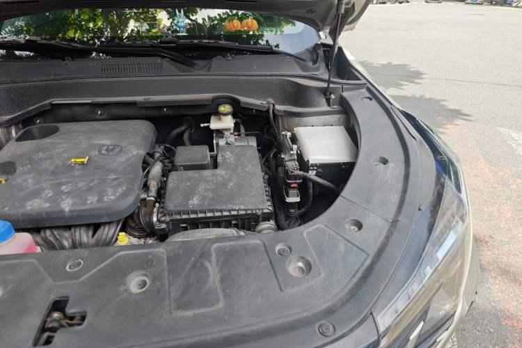 Used CHANGAN UNI-Z New Energy 2024 Blue Whale Smart Electric iDD 125km Excellence Model Engine Bay Left