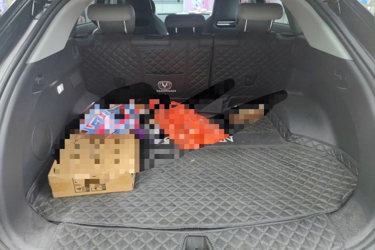 Used CHANGAN UNI-Z New Energy 2024 Blue Whale Smart Electric iDD 125km Beyond Edition Trunk