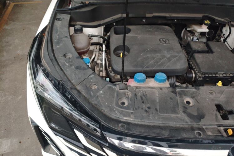 Used CHANGAN UNI-Z New Energy 2024 Blue Whale Smart Electric iDD 125km Excellence Model Engine Bay Right