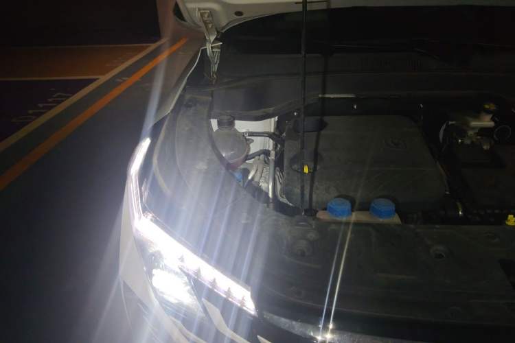 Used CHANGAN UNI-Z New Energy 2024 Blue Whale Smart Electric iDD 125km Excellence Model Engine Bay Right