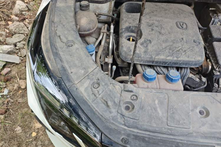 Used CHANGAN UNI-Z New Energy 2024 Blue Whale Smart Electric iDD 125km Beyond Edition Engine Bay Right