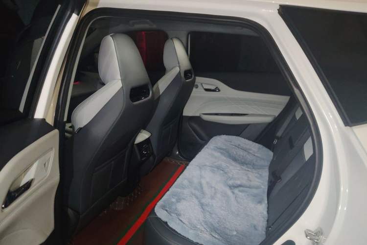 Used CHANGAN UNI-Z New Energy 2024 Blue Whale Smart Electric iDD 125km Excellence Model Left Rear Seat