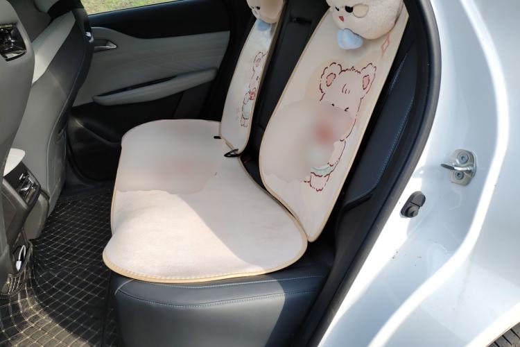 Used CHANGAN UNI-Z New Energy 2024 Blue Whale Smart Electric iDD 125km Beyond Edition Left Rear Seat