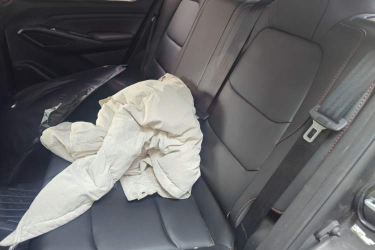 Used CHANGAN X5 PLUS 2024 1.5T DCT Pioneer Edition Left Rear Seat