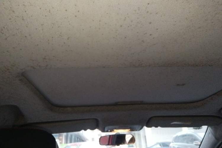Used Chery Arrizo 5 2016 1.5L Manual Lingrui Edition Headliner