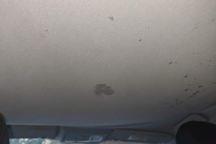 Used Chery Arrizo 5 2016 1.5L Manual Lingchao Edition Headliner
