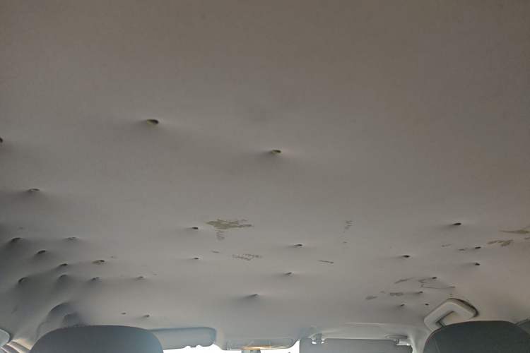 Used Chery Arrizo 5 2016 1.5L Manual Lingchao Edition Headliner
