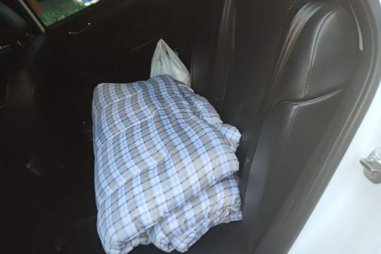 Used Chery Arrizo 5 2016 1.5L CVT Trendsetting Edition Left Rear Seat