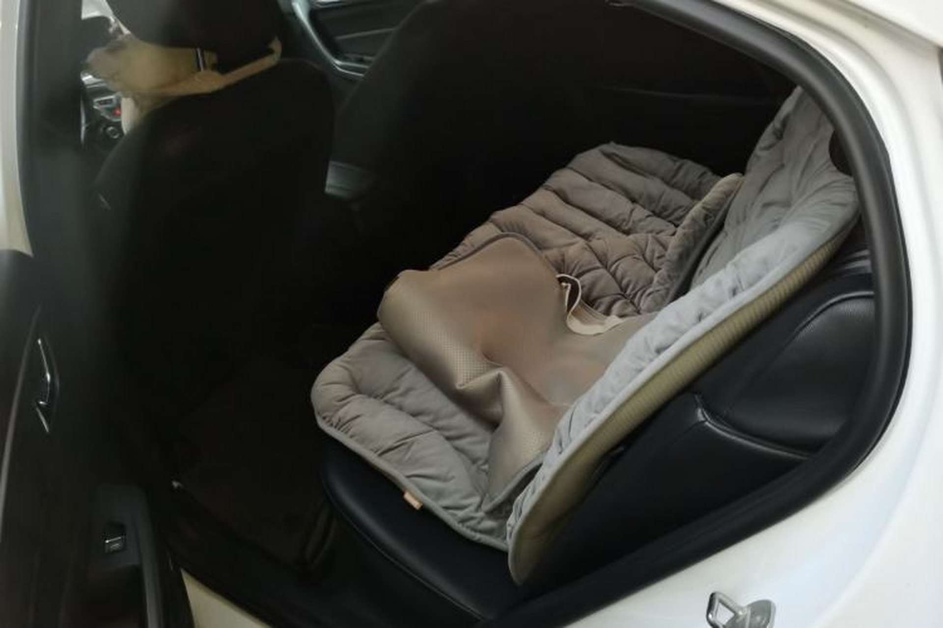Used Chery Arrizo 5 2016 1.5L Manual Lingchao Edition Left Rear Seat
