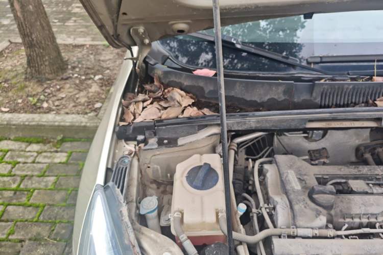 Used Chery Arrizo 5 2016 1.5L Manual Lingrui Edition Engine Bay Right