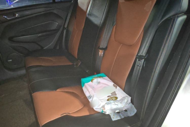 Used Chery Arrizo 5 2016 1.5L Manual LingShang Edition Left Rear Seat
