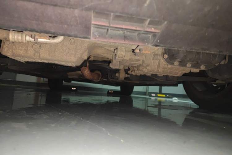 Used Chery Arrizo 5 2017 1.5L CVT Luxury Edition Chassis Front