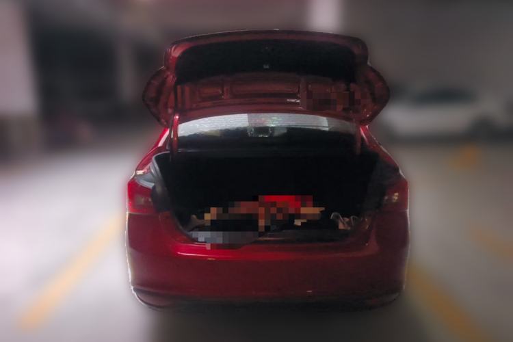 Used Chery Arrizo 5 2017 1.5L Manual Lingchao Edition Trunk