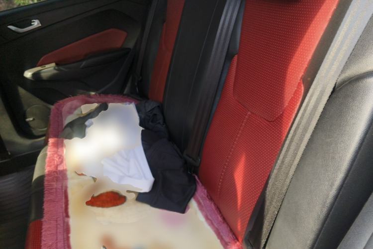 Used Chery Arrizo 5 2017 1.5L Manual Luxury Edition Left Rear Seat