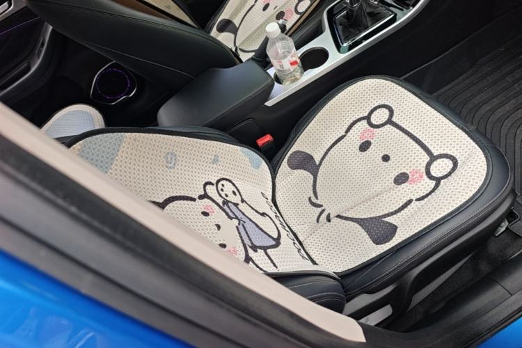 Used Chery Arrizo 5 2019 1.5L Manual Joyful Edition China V Standard Right Front Seat