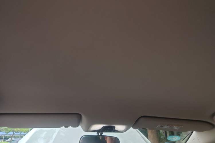 Used Chery Arrizo 5 2019 Revised PRO 1.5L CVT Youth Edition China VI Standard Headliner