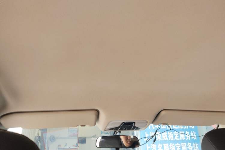 Used Chery Arrizo 5 2019 1.5L Manual Youth Edition China V Standard Headliner