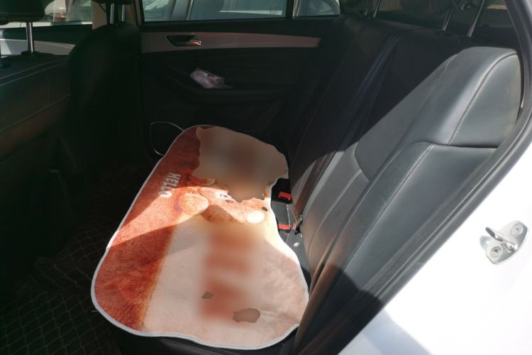 Used Chery Arrizo 5 2019 1.5L Manual New Youth Edition China VI Standard Left Rear Seat