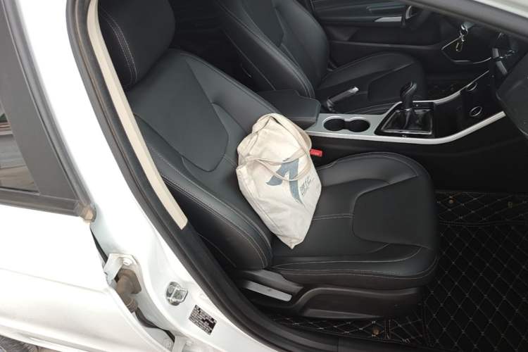 Used Chery Arrizo 5 2019 Facelifted PRO 1.5L Manual Youth Edition China VI Standard Right Front Seat