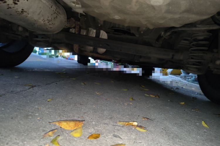 Used Chery Arrizo 5 2021 PRO 1.5L Manual Youth Edition Chassis Rear