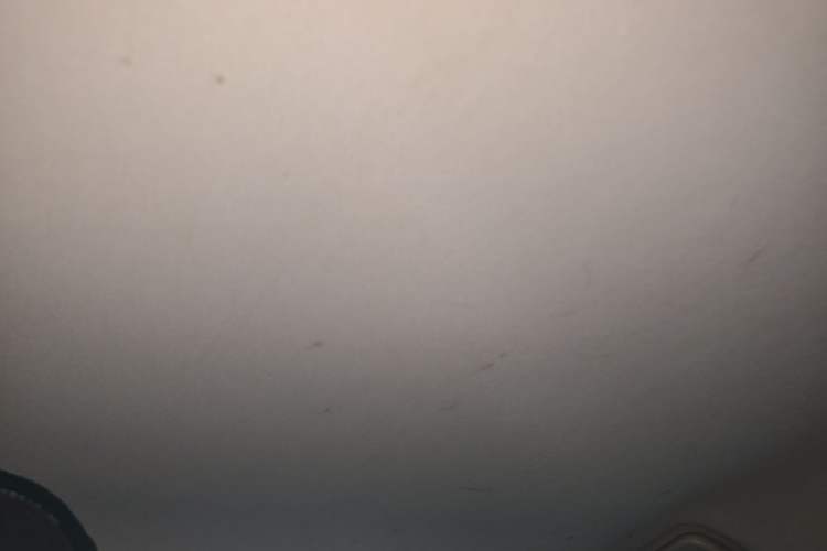 Used Chery Arrizo 5 2021 PRO 1.5L CVT Youth Edition Headliner