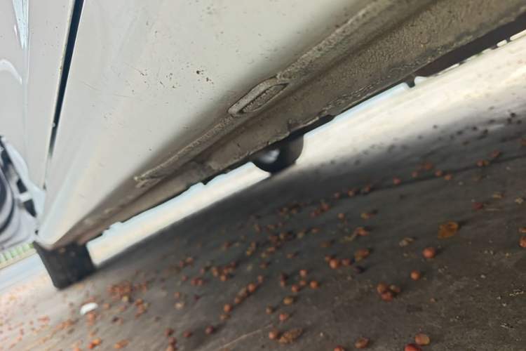 Used Chery Arrizo 5 2021 PRO 1.5L CVT Youth Edition Left Side Sill