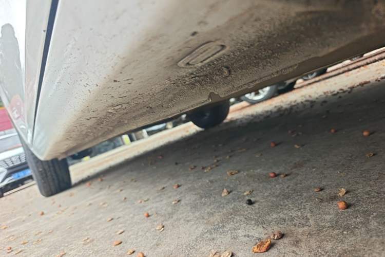 Used Chery Arrizo 5 2021 PRO 1.5L CVT Youth Edition Right Side Sill