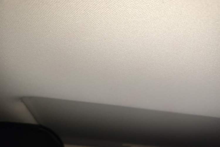 Used Chery Arrizo 5 PLUS 2021 Xiaoze 1.5L CVT Enjoy PLUS Headliner