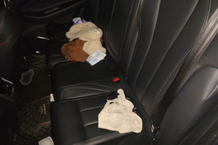 Used Chery Arrizo 5 PLUS 2021 Xiaoze 1.5T CVT ZhiPLUS Left Rear Seat