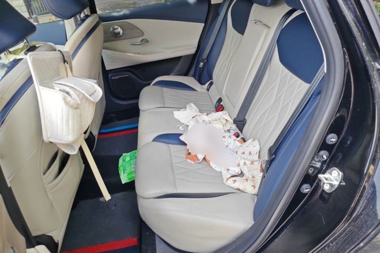 Used Chery Arrizo 8 2022 1.6T DCT Ya Left Rear Seat