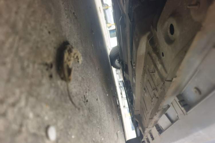 Used Chery Arrizo 8 2022 1.6T DCT Elite Chassis Rear Right
