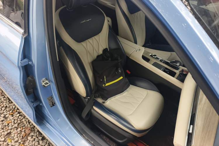 Used Chery Arrizo 8 2022 1.6T DCT Zhen Right Front Seat