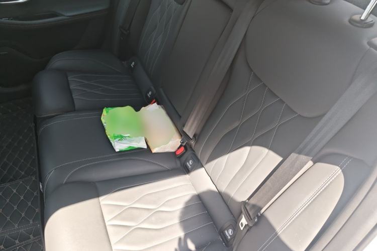 Used Chery Arrizo 8 2022 1.6T DCT Elite Left Rear Seat