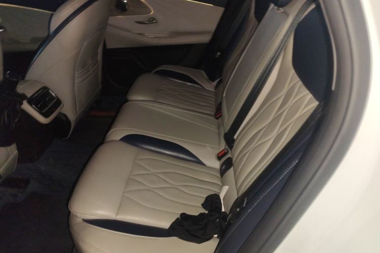 Used Chery Arrizo 8 2022 1.6T DCT Ya Left Rear Seat