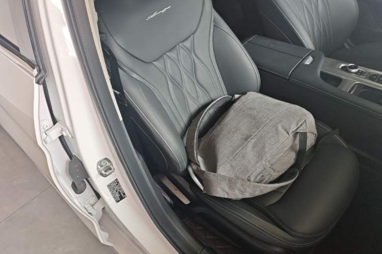 Used Chery Arrizo 8 2022 1.6T DCT Ya Right Front Seat