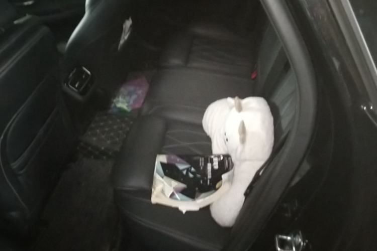 Used Chery Arrizo 8 2023 1.6T DCT Ya Left Rear Seat